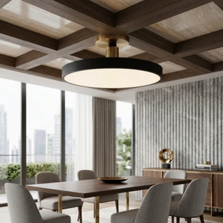 Flush Mount Ceiling Light With Modern Round LED - black