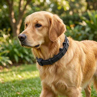 Flea And Tick Collar For Cats And Dogs Lasting Eight Months