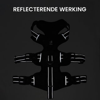 No-Pull Dog Harness with Reflective Strips and Adjustable Buckle