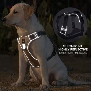 No-Pull Dog Harness with Reflective Strips and Adjustable Buckle