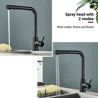 Kitchen Faucet With Pull Out Spray Head