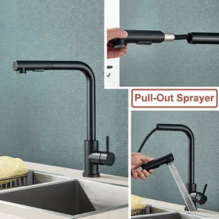 Kitchen Faucet With Pull Out Spray Head