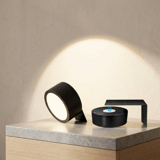 Battery Powered Picture Light With Remote And 3 Light Colors For Art Display LED | Paxton