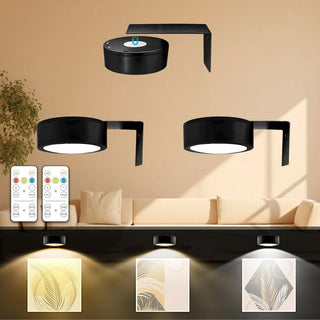 Battery Powered Picture Light With Remote And 3 Light Colors For Art Display LED | Paxton
