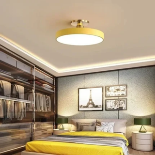 Flush Mount Ceiling Light With Modern Round LED