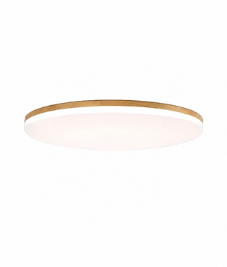 Flush Mount Ceiling Light With Round Dimmable LED
