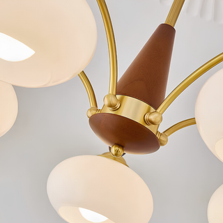 Chandelier With Multiple Glass Branch Lights