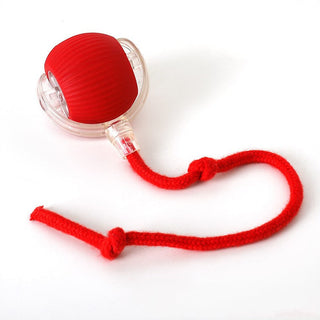 Interactive Rolling Ball Dog Toy with Moving Tail - red