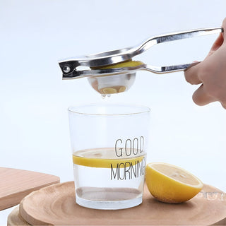 Citrus Juice Press Squeezer in Stainless Steel