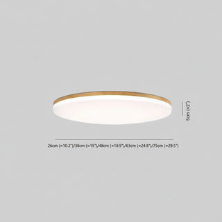 Flush Mount Ceiling Light With Round Dimmable LED