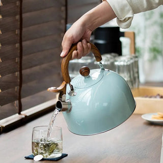 Stainless Steel Whistling Kettle With Ergonomic Handle