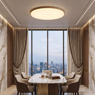 Flush Mount Ceiling Light With Round Dimmable LED - warm white