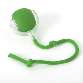 Interactive Rolling Ball Dog Toy with Moving Tail - green