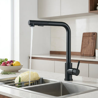 Kitchen Faucet With Pull Out Spray Head - black
