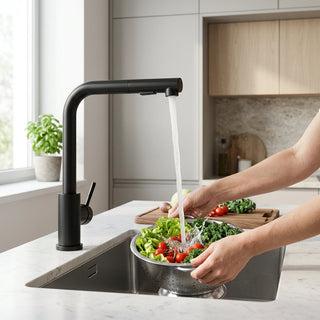 Kitchen Faucet With Pull Out Spray Head