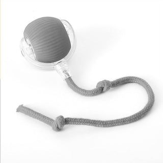 Interactive Rolling Ball Dog Toy with Moving Tail - gray