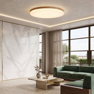 Flush Mount Ceiling Light With Round Dimmable LED - warm white