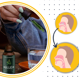 Gluten Free Mullein Tincture With Chlorophyll Alcohol-Free For Respiratory Support And Detox | Northrop