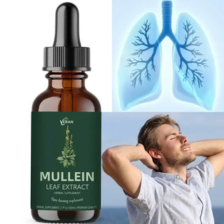Gluten Free Mullein Tincture With Chlorophyll Alcohol-Free For Respiratory Support And Detox | Northrop