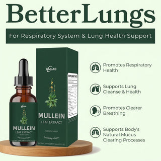 Gluten Free Mullein Tincture With Chlorophyll Alcohol-Free For Respiratory Support And Detox | Northrop