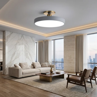 Flush Mount Ceiling Light With Modern Round LED - gray