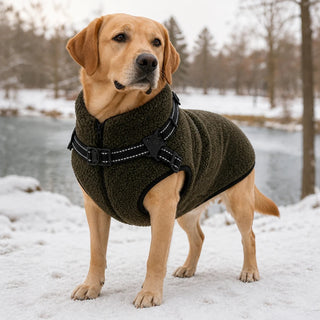 Women's Fleece Dog Coat with Built-In Harness in green, Warm & Free