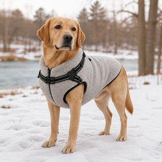 Women's Fleece Dog Coat with Built-In Harness in grey, Warm & Free