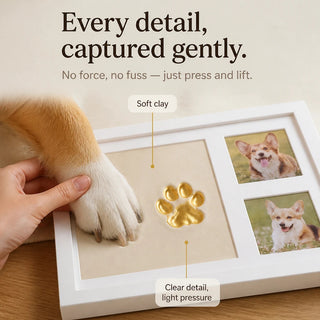 Women's Paw Print Clay Keepsake Frame - Three-Window Pet Memory Displa